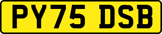 PY75DSB
