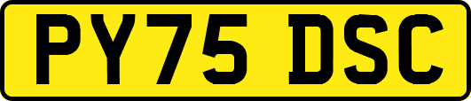 PY75DSC