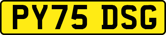 PY75DSG