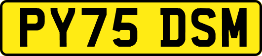 PY75DSM
