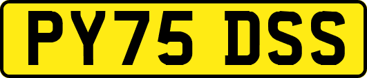 PY75DSS