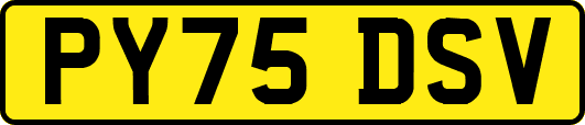 PY75DSV