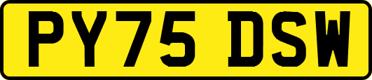PY75DSW