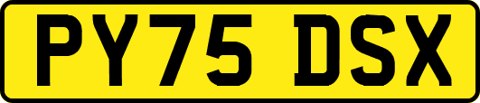 PY75DSX
