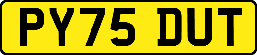 PY75DUT