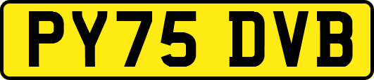 PY75DVB