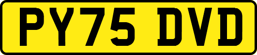PY75DVD