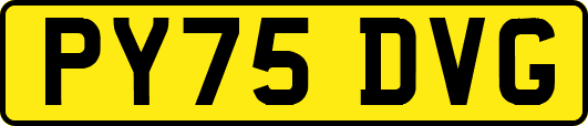 PY75DVG