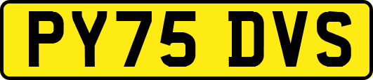 PY75DVS