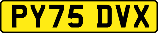 PY75DVX