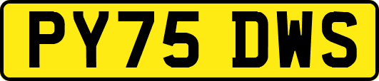 PY75DWS