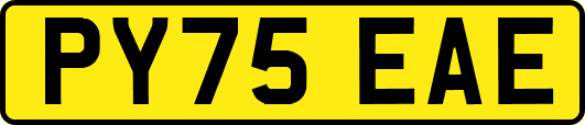 PY75EAE