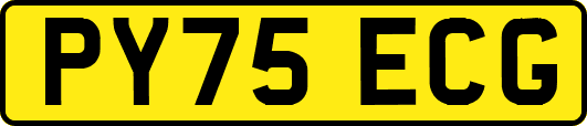 PY75ECG