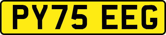 PY75EEG