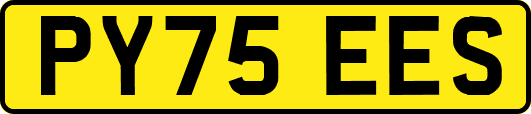 PY75EES