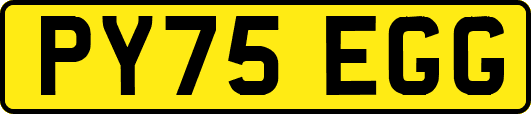 PY75EGG