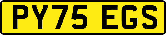 PY75EGS