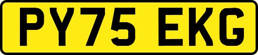 PY75EKG
