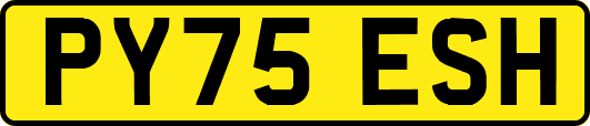 PY75ESH