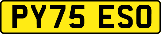 PY75ESO