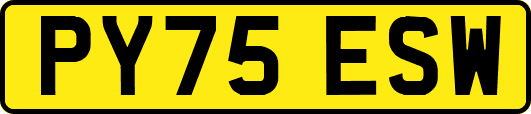 PY75ESW