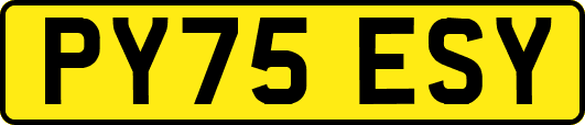 PY75ESY