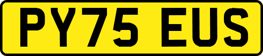 PY75EUS