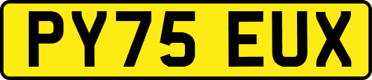 PY75EUX