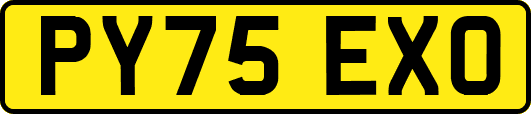 PY75EXO