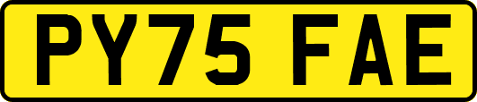 PY75FAE