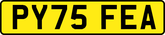 PY75FEA