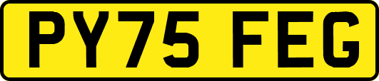 PY75FEG