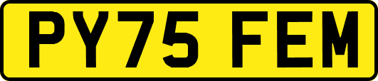 PY75FEM