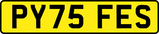PY75FES