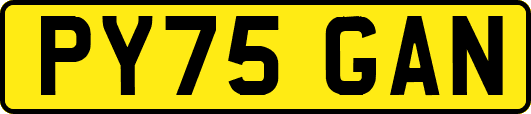 PY75GAN