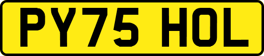 PY75HOL