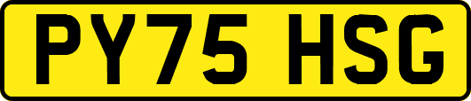 PY75HSG