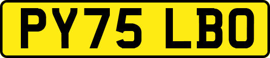 PY75LBO
