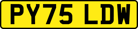 PY75LDW
