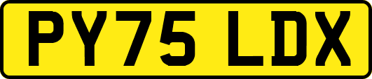 PY75LDX