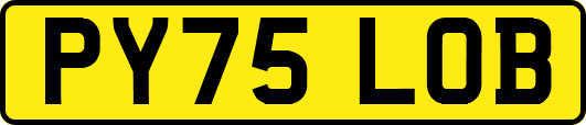 PY75LOB