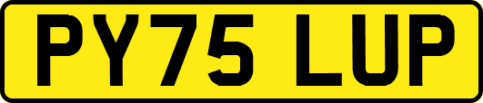 PY75LUP