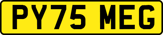 PY75MEG