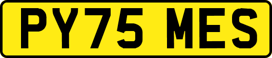 PY75MES