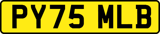 PY75MLB