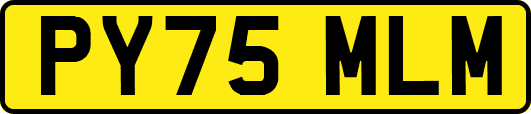 PY75MLM