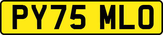PY75MLO