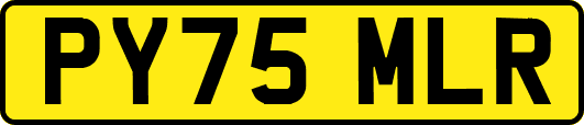 PY75MLR