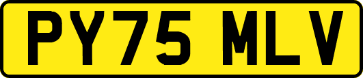 PY75MLV