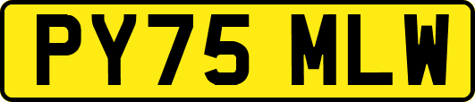 PY75MLW